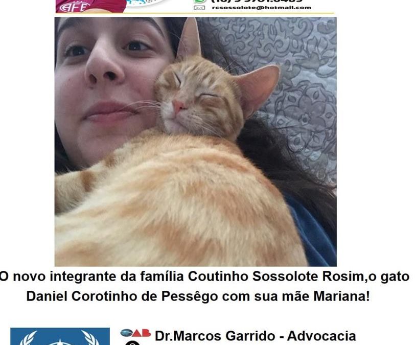 22/05/2019- Quarta-feira,Foto Destak na Folha da Cidade!